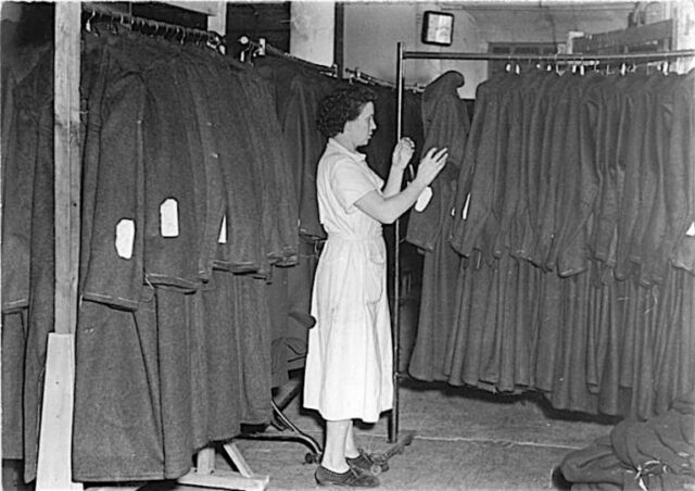 loden_storia-768×542